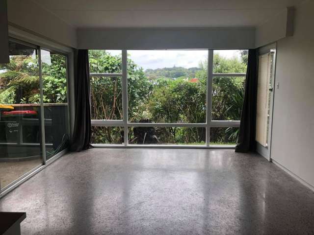 3a Duke Place New Plymouth_4