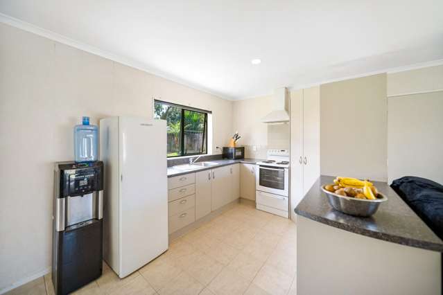 20A Gibson Road Tuakau_4
