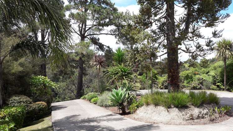 190c Lonely Track Road Dairy Flat_6