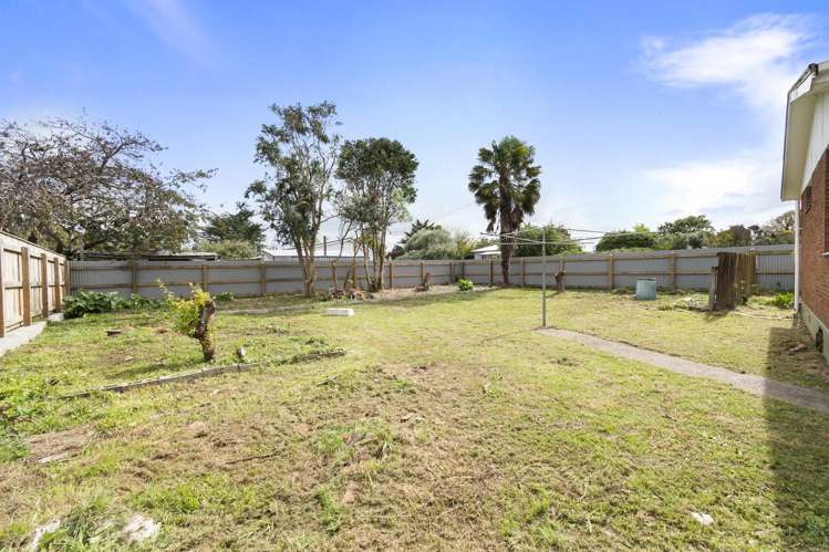 31 Hammond Street Bulls_17