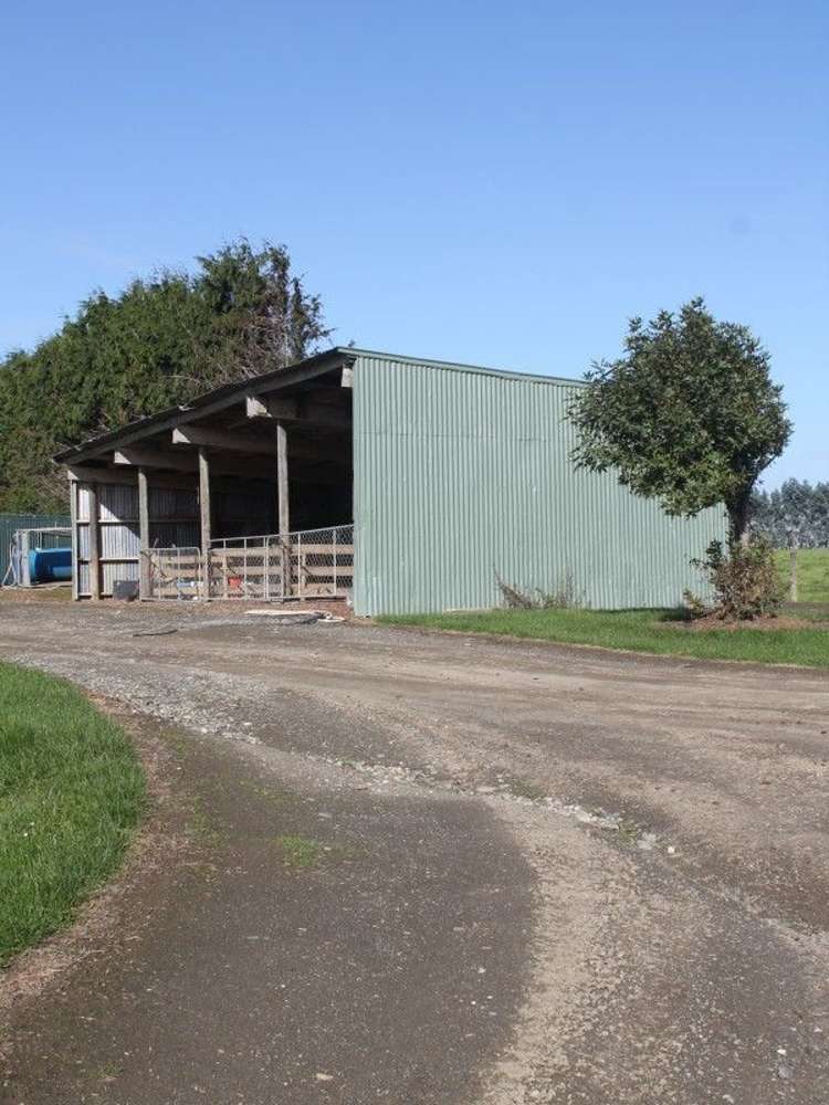 59 Oware Road Catlins Surrounds_16