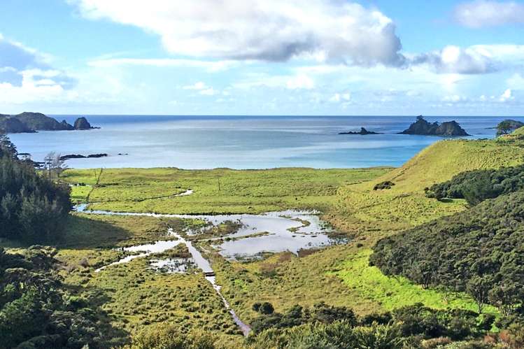 638 Whangaruru North Road Russell Surrounds_1