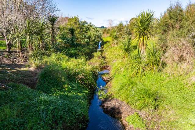 3/69A Vineyard Lane Mangawhai_4