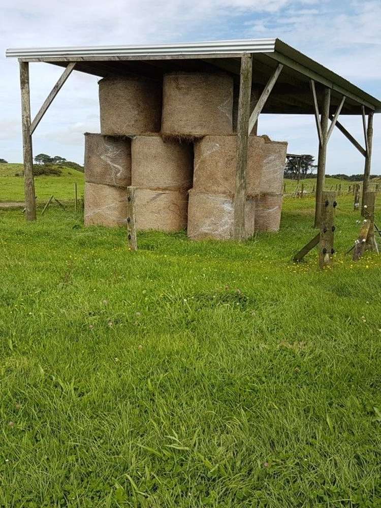 153 Tipoka Road Rahotu_14