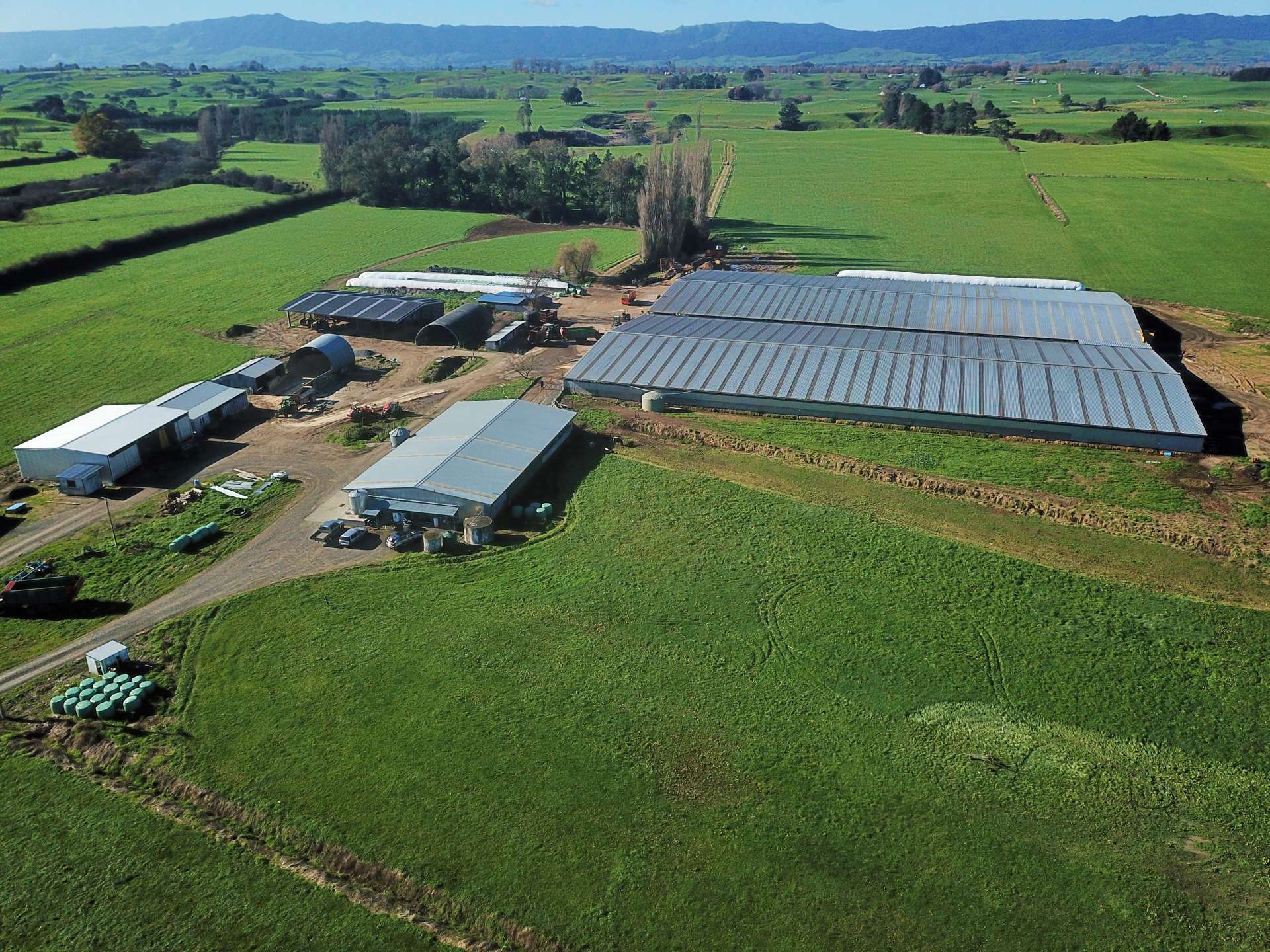 240 Bayly Road Hauraki Surrounds_0