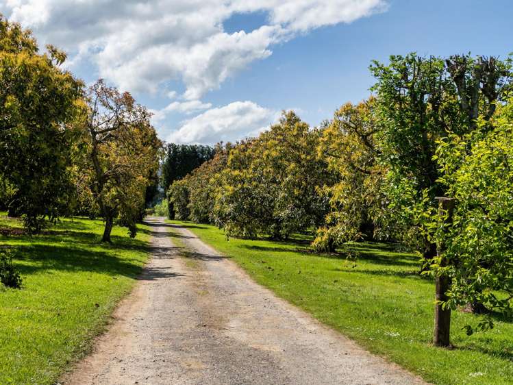 85 Wharawhara Road Katikati_18