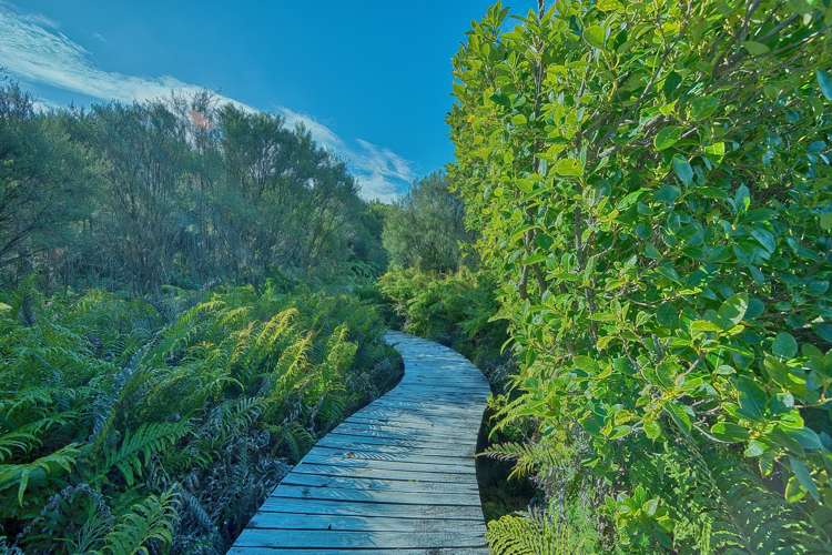 192 Keogans Road Hokitika_34