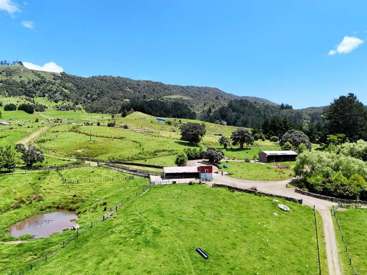 7046 State Highway 12 Waimamaku_2