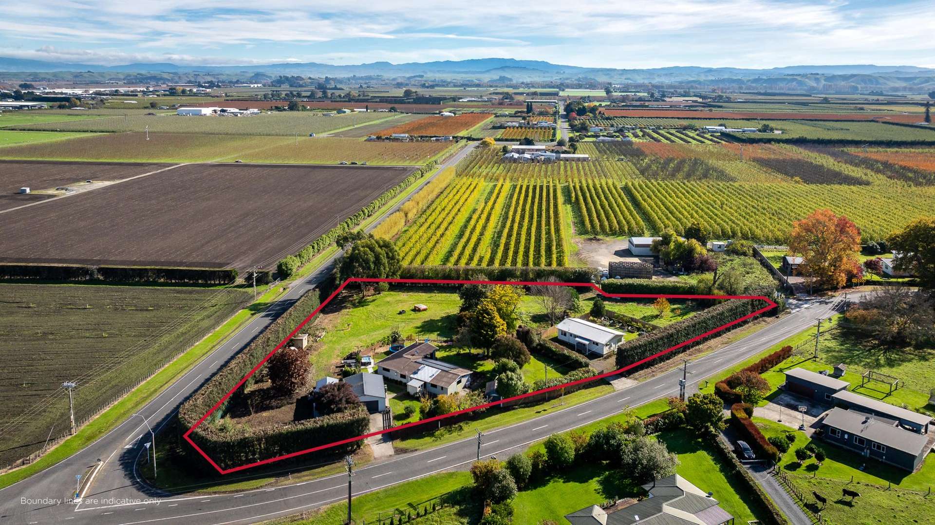 39 Raupare Road Twyford_0