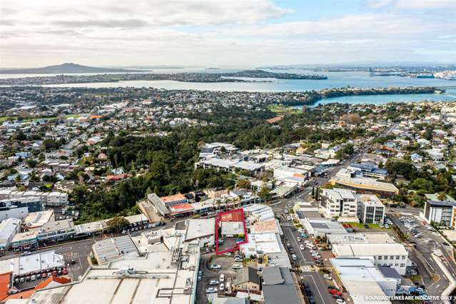 10 Birkenhead Ave Birkenhead_3