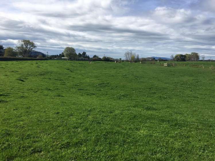 102 Platt Road Tauwhare_13