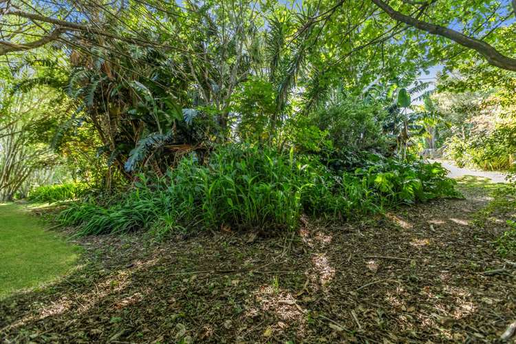 43 Poike Road Hairini_15