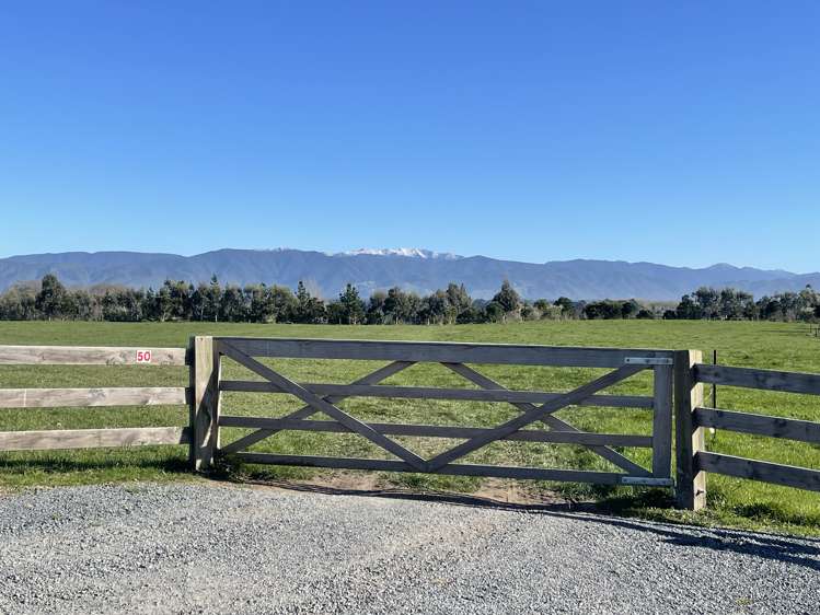 Phelps Way Morisons Bush_13