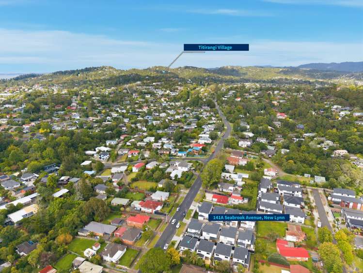 141A Seabrook Avenue New Lynn_13
