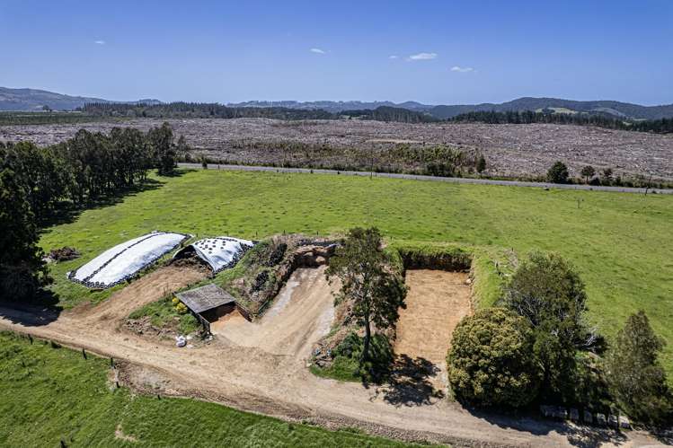 731 Puhipuhi Road Whakapara_47