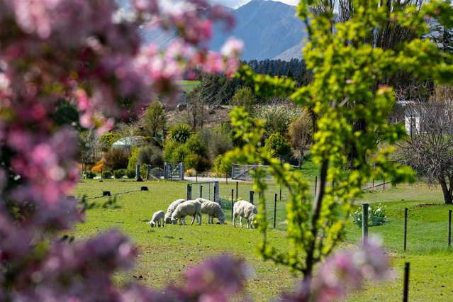 83b Black Peak Road Wanaka_2