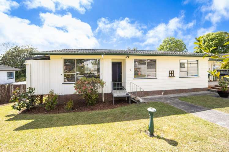 3 Talmar Place Massey_3