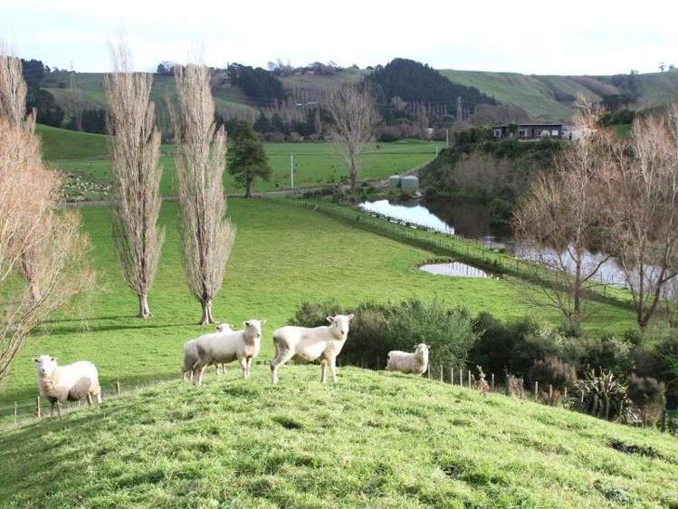 63 Waikupa Road Okoia_16