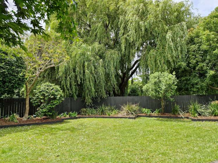 37 Pohutukawa Place Ellerslie_8