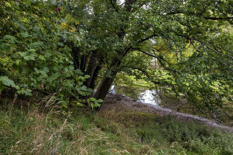 47 Bush Road Tuamarina_13