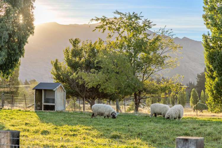 87 Black Peak Road Wanaka_26