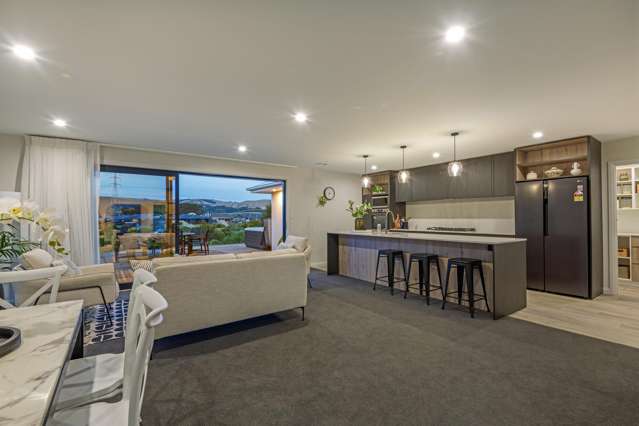 20 Silicon Way Fitzherbert_1