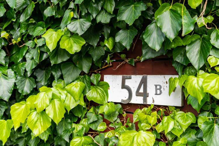 54b Jack Boyd Drive Mangawhai Heads_29