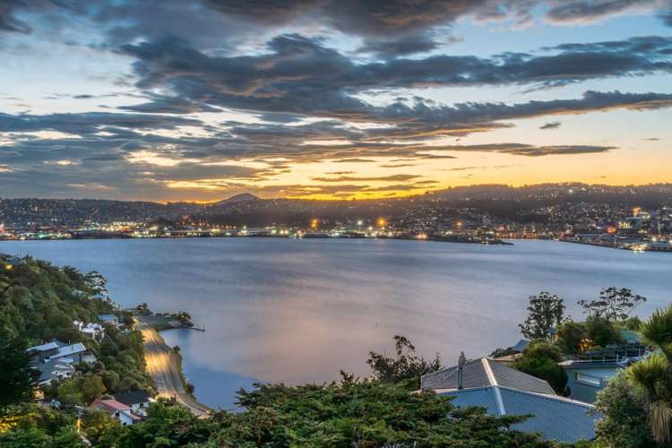 40 Shandon Road Waverley_1