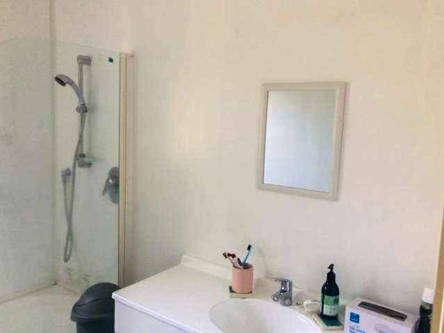 16a Methuen Road Avondale_3