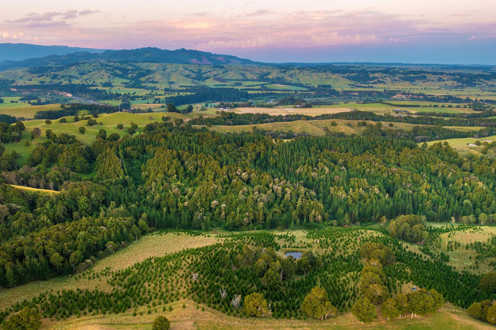 1527 Wakarara Road Ongaonga_0