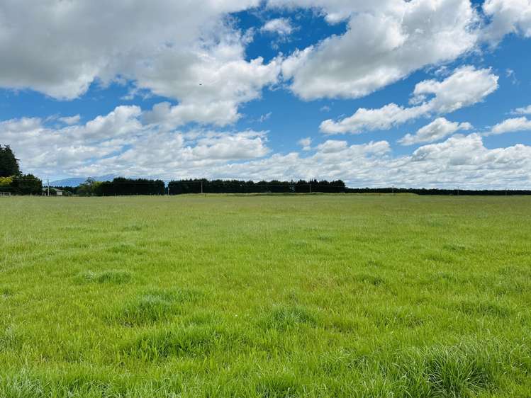 2247 Tinwald Westerfield Mayfield Road Ashburton_10