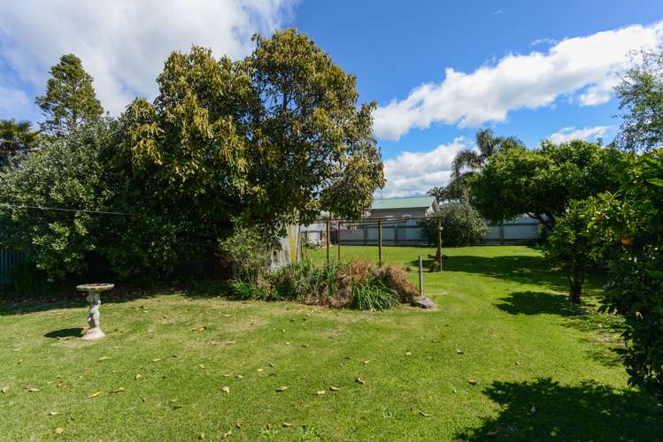 25 Mcgrath Street Napier South_18