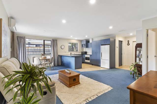 174a Captain Springs Road Onehunga_3