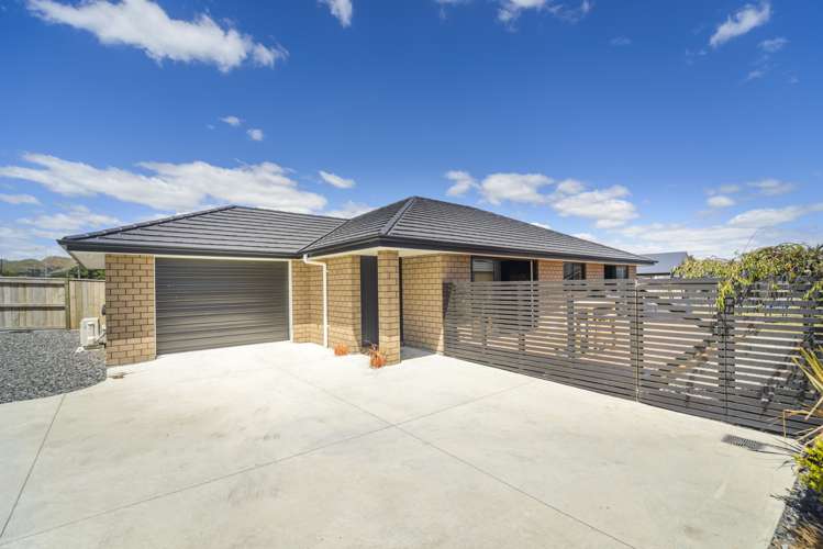 79 North Street Ashhurst_1