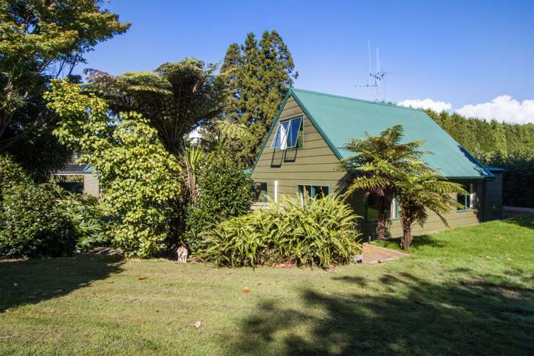 73 Stewart Road Whakamarama_19