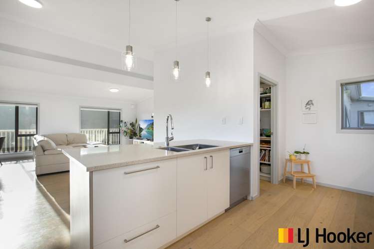 160 Cameron Town Road Pukekohe_11