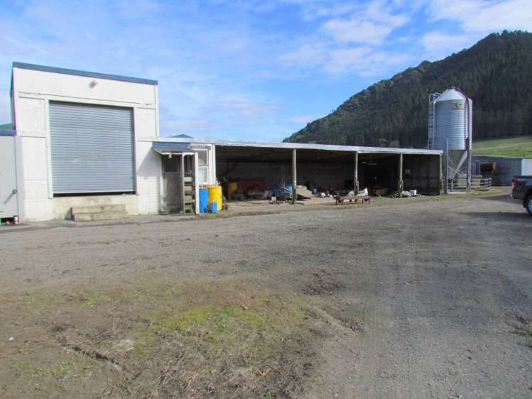 353 Wilson Road Pakotai_18