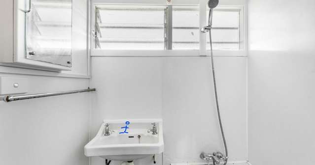 316 Blockhouse Bay Road Avondale_4