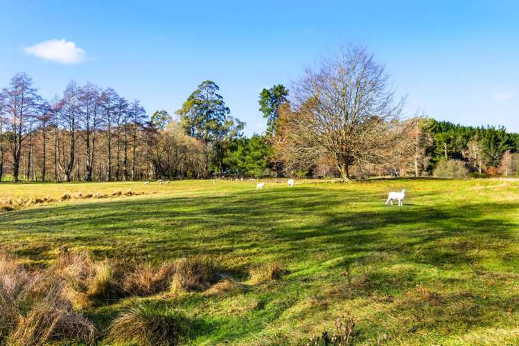 Lot 2/634 Oruanui Road Oruanui_10