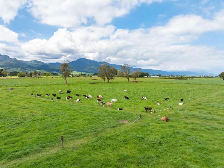 512 Manawaru Road Te Aroha_7