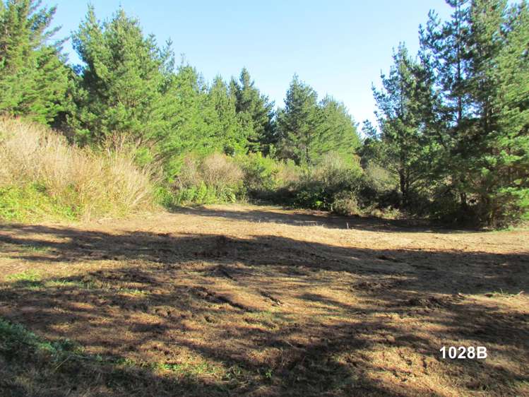 1028 A,B,C McIvor Road Rotoma_17