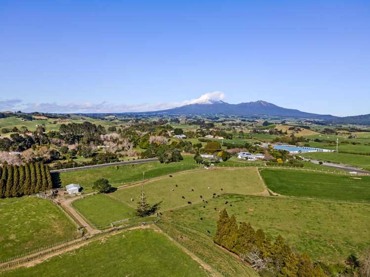 568 South Road Omata_11