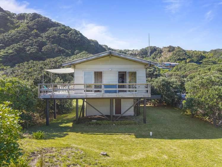 36 North Piha Road Piha_3