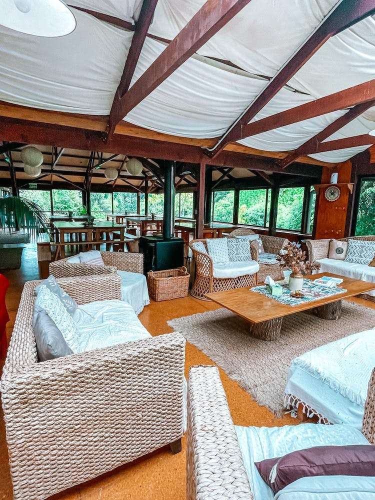 14 Mills Lane Albany Heights_8