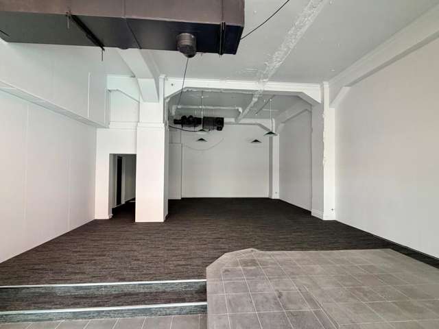 59 Dalton Street Napier South_3