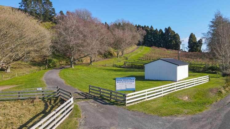 1427 Te Kopia Road Waikite Valley_17