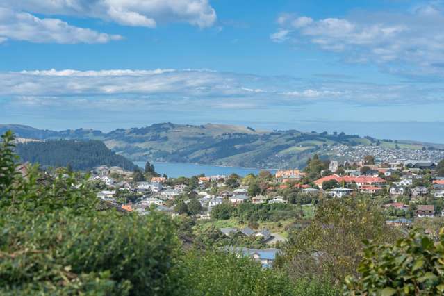 106 Shetland Street Wakari_1