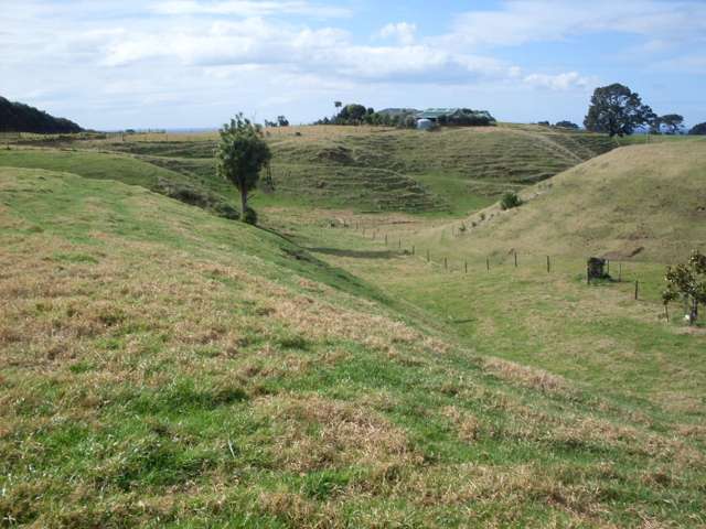 34d Hauone Road Pikowai_2