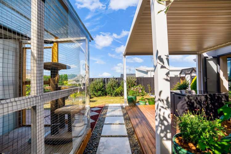 158 Rimu Street Te Kauwhata_18