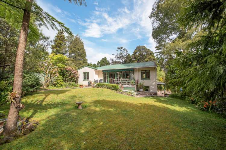 10 York Road Titirangi_3